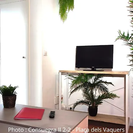 Ac Centre Apartament Pas De La Casa